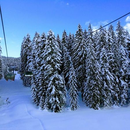Pension Edelweiss Top 25 Gosau Eksteriør bilde