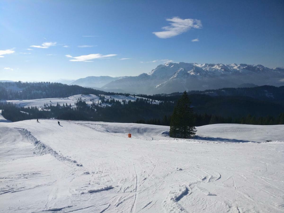 Pension Edelweiss Top 25 Gosau Eksteriør bilde