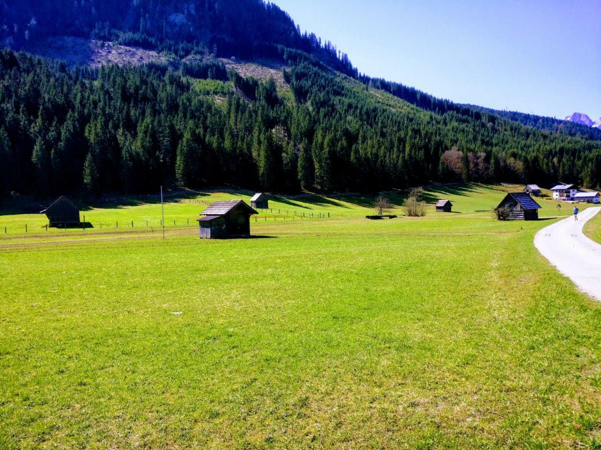 Pension Edelweiss Top 25 Gosau Eksteriør bilde