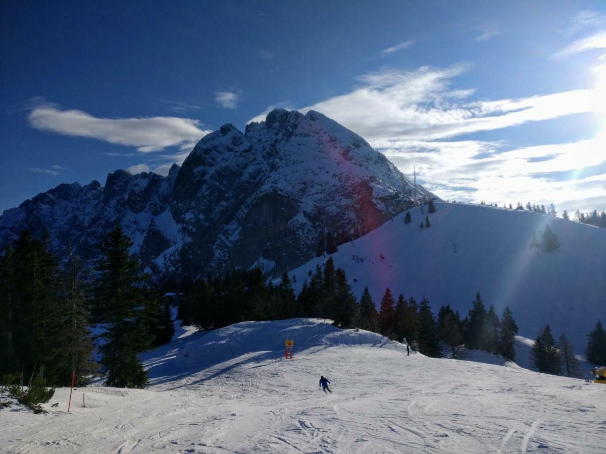 Pension Edelweiss Top 25 Gosau Eksteriør bilde