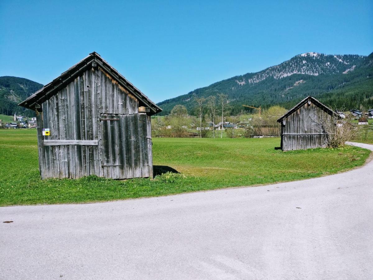 Pension Edelweiss Top 25 Gosau Eksteriør bilde
