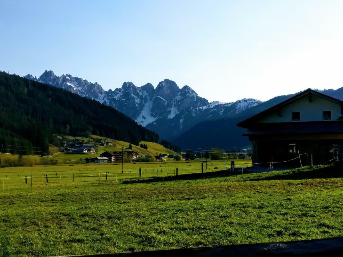 Pension Edelweiss Top 25 Gosau Eksteriør bilde