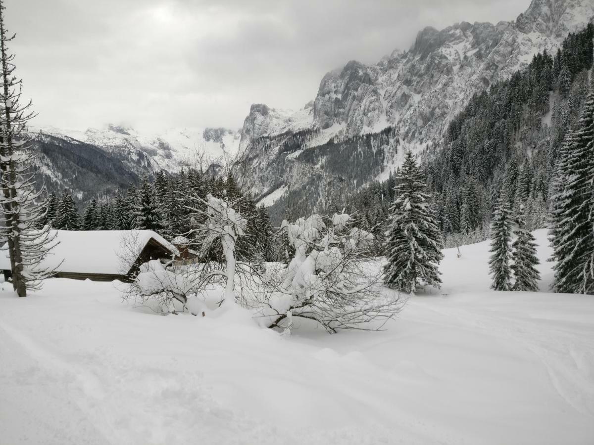 Pension Edelweiss Top 25 Gosau Eksteriør bilde