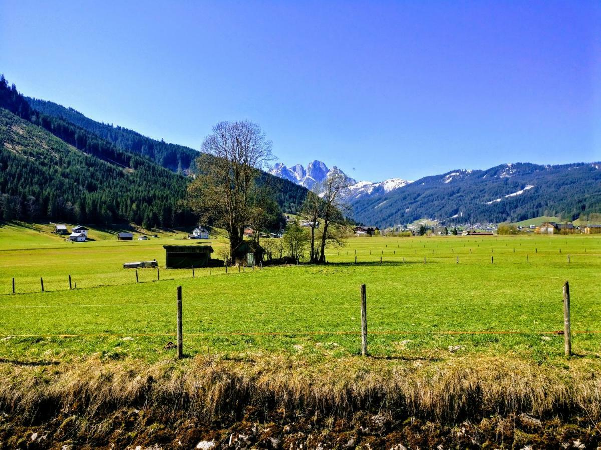Pension Edelweiss Top 25 Gosau Eksteriør bilde