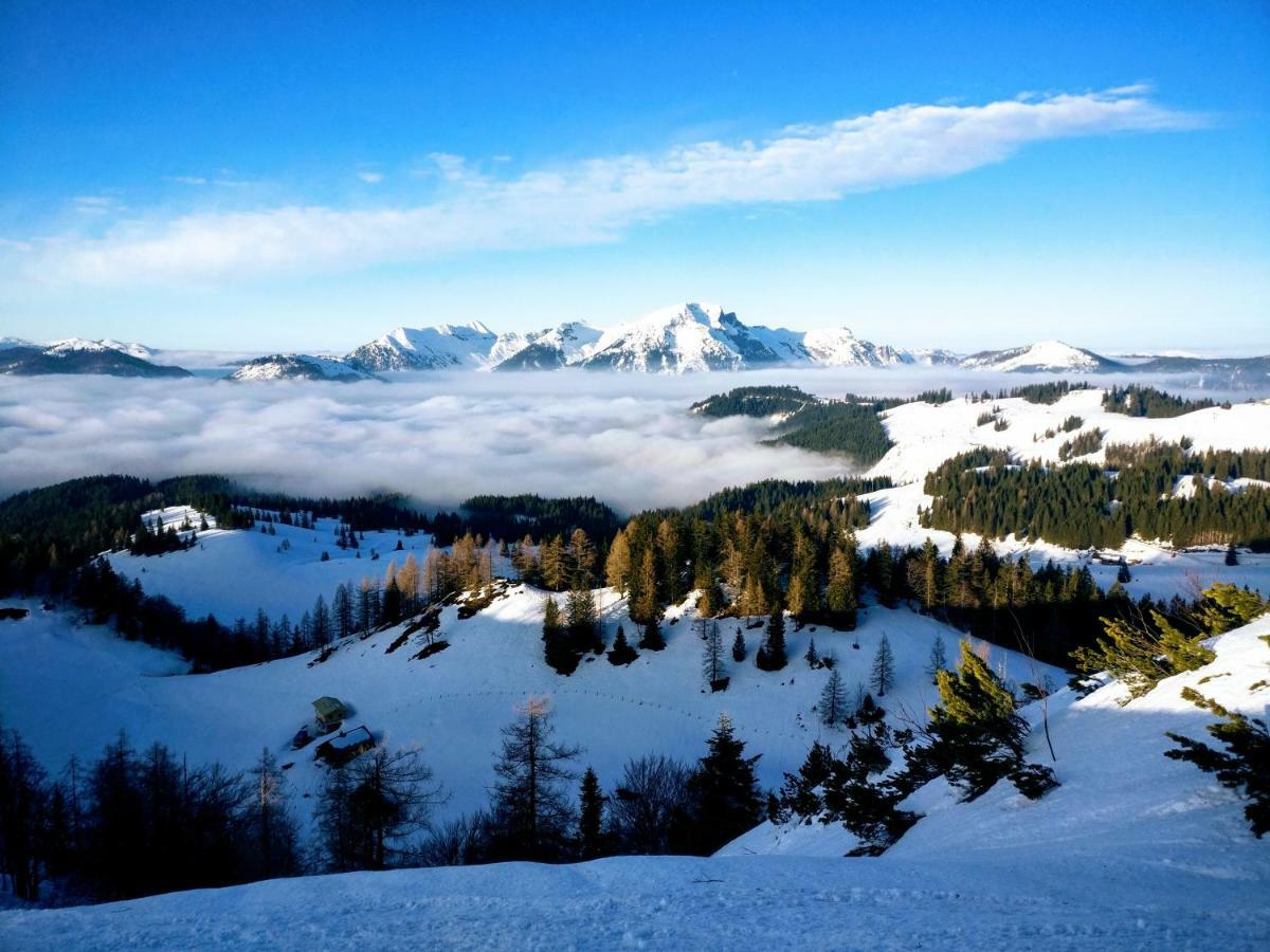Pension Edelweiss Top 25 Gosau Eksteriør bilde