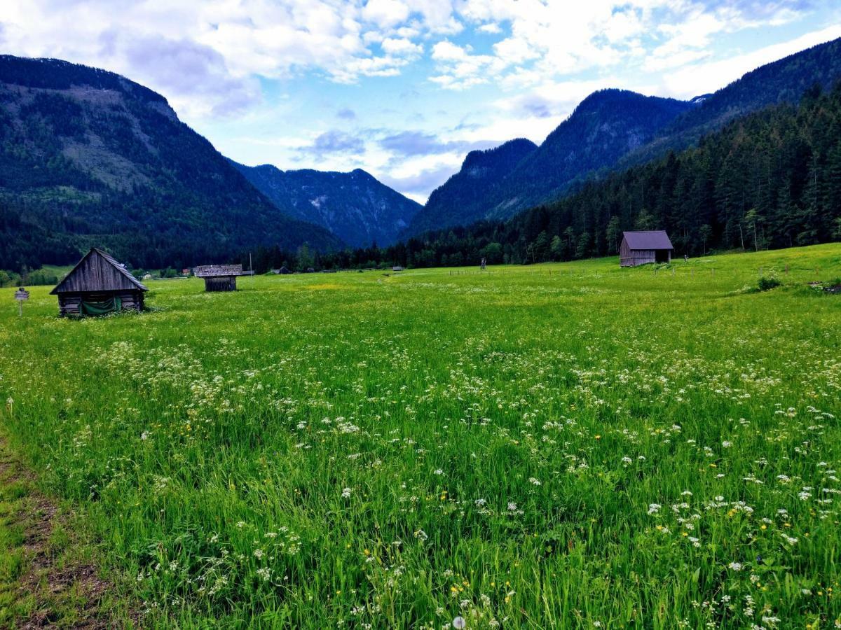 Pension Edelweiss Top 25 Gosau Eksteriør bilde